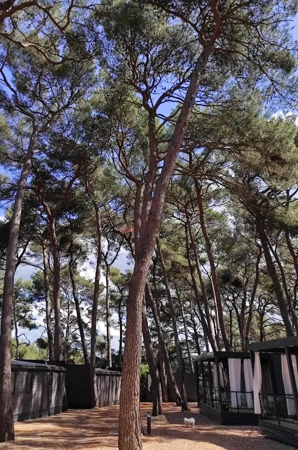 Mobile Home More Porton Nature Hideouts Rovinj Luaran gambar